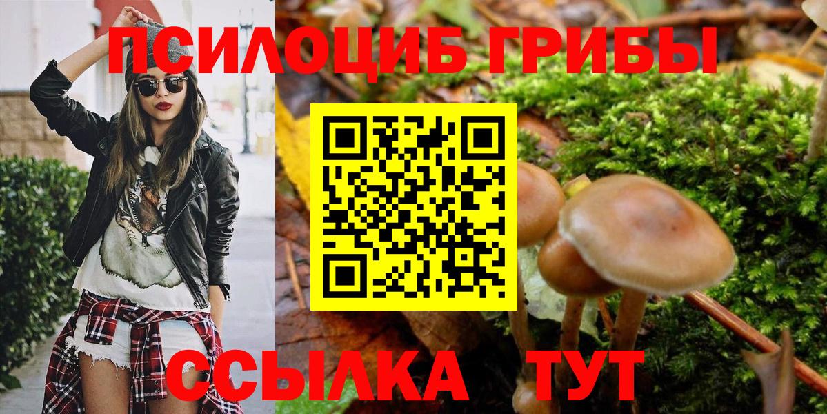 Псилоцибиновые грибы ЛСД Усолье-Сибирское