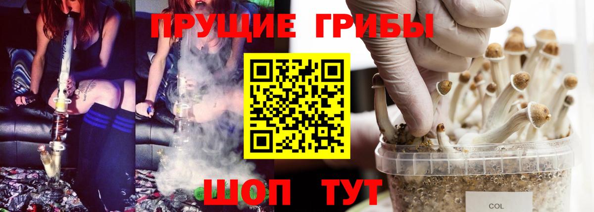 Усолье-Сибирское  Псилоцибиновые грибы Psilocybe  Вход с VPN 